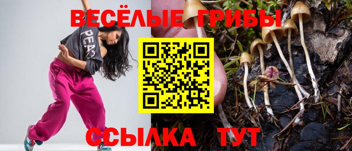 Галлюциногенные грибы мицелий  Вход с VPN  Долгопрудный  Псилоцибиновые грибы Psilocybine cubensis 