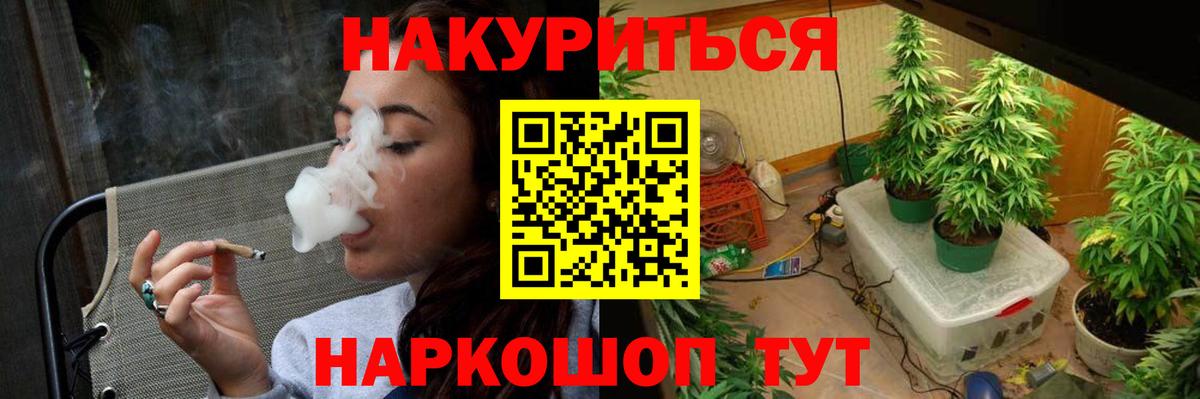 Бошки Шишки VHQ  Вход с VPN  Канабис сатива  Канабис MAZAR  Долгопрудный 